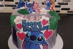 Stich1