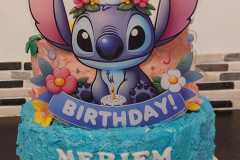 Stich2
