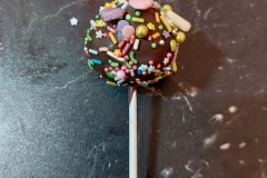 CakePop-Bunt